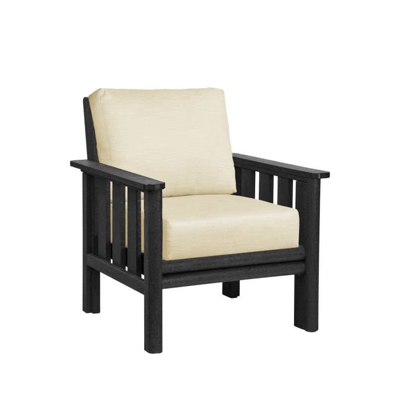 Stratford Arm Chair with Cushions - DSF261