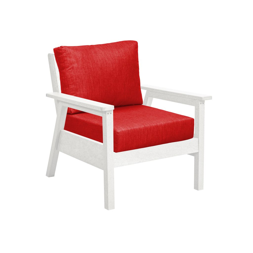 Tofino Arm Chair with Cushions - DSF281