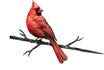 Tree Stake Cardinal