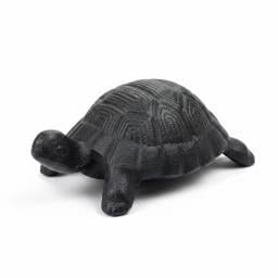 Cast Iron Turtle